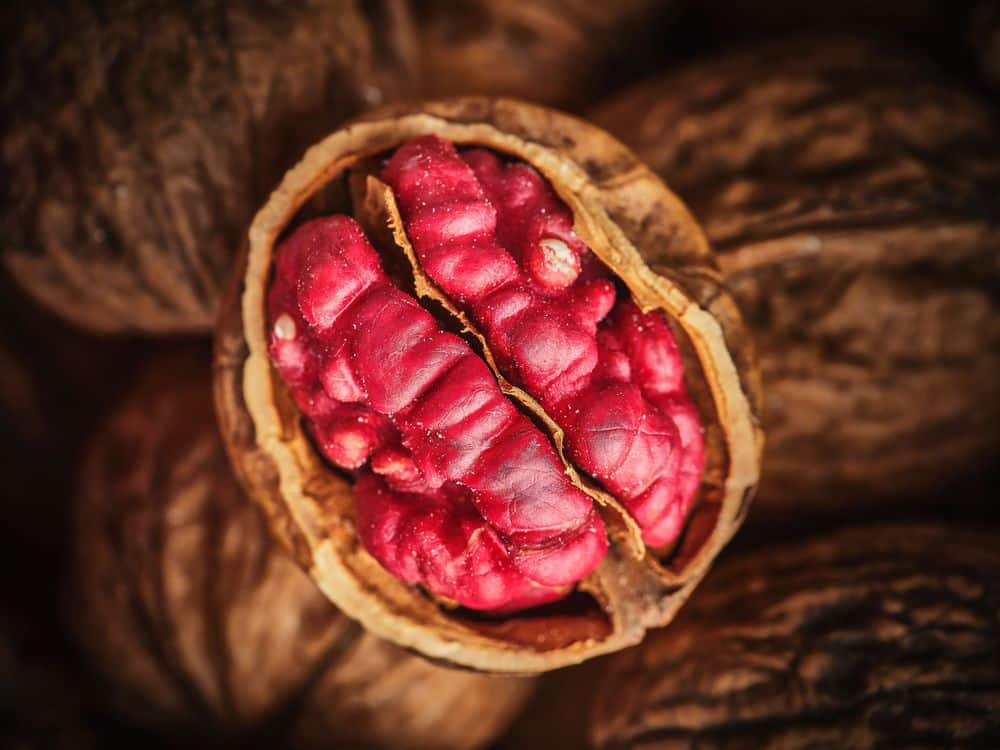 KHAAN Bangkok - Red Walnut
